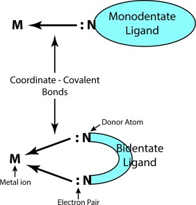 Monodentate and Bidentate Ligands